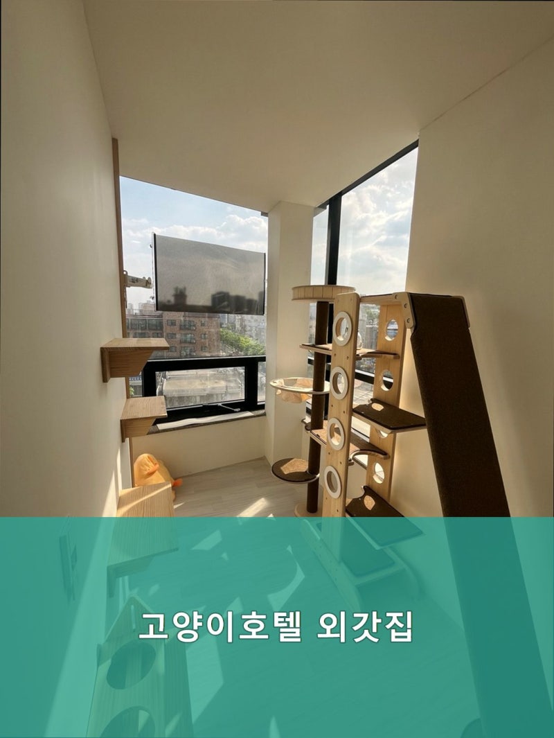사진 3