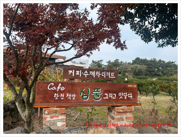 심풀 그리고 잇닿다 사진 1