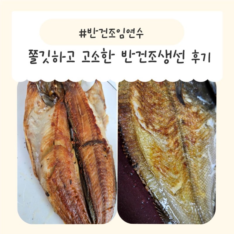 반건조해서 식감이 쫄깃하고 고소한생선「파란별 반건조생선」