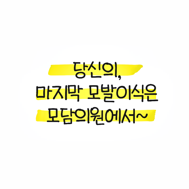  남자 머리 심기 가격, 어떻게 결정될까?