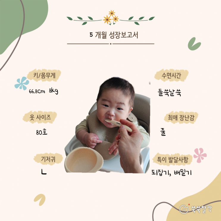  생후 5개월 아기 성장기록 및 육아일기(되집기, 배밀기, 이앓이, 이유식 시작)