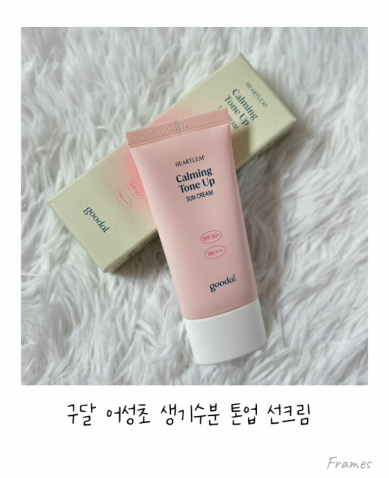 구달 어성초 생기수분 톤업 선크림 핑크 베이스 자연스러운 톤업 선크림 속건성 피부 추천 ....