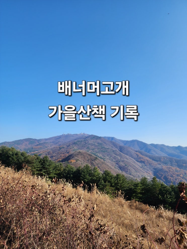  배너머고개 가을억새 후기｜운전 난이도, 코스 정보, 가볼만한지 솔직 후기