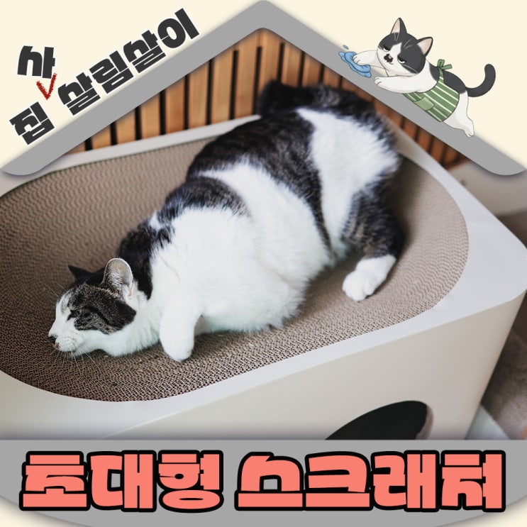  집사님들~팡팟이 돌아왔어요!! 초대형 고양이 스크래쳐 미우하우스 빨리 겟하세요