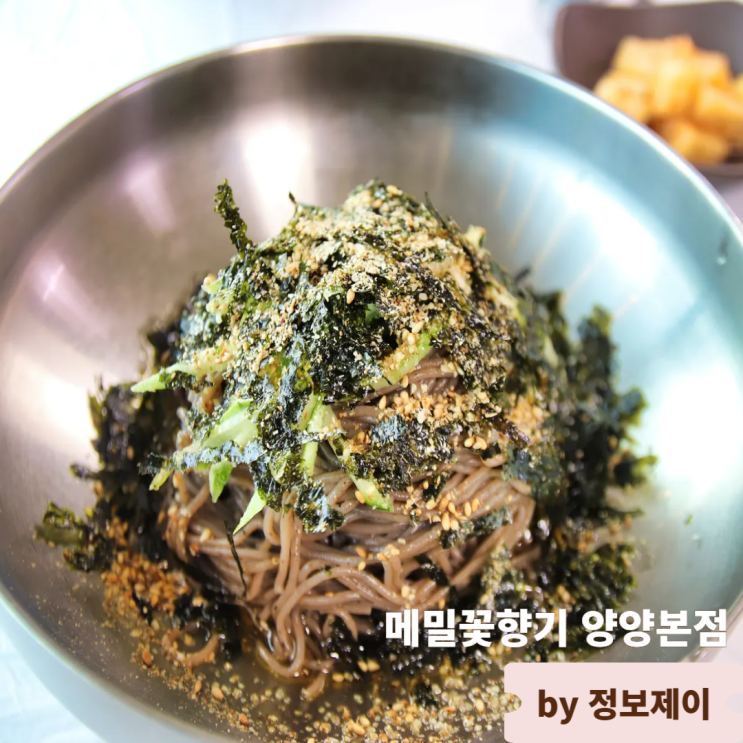  양양 메밀국수 맛집 강원도 향토음식점 메밀꽃향기 양양본점