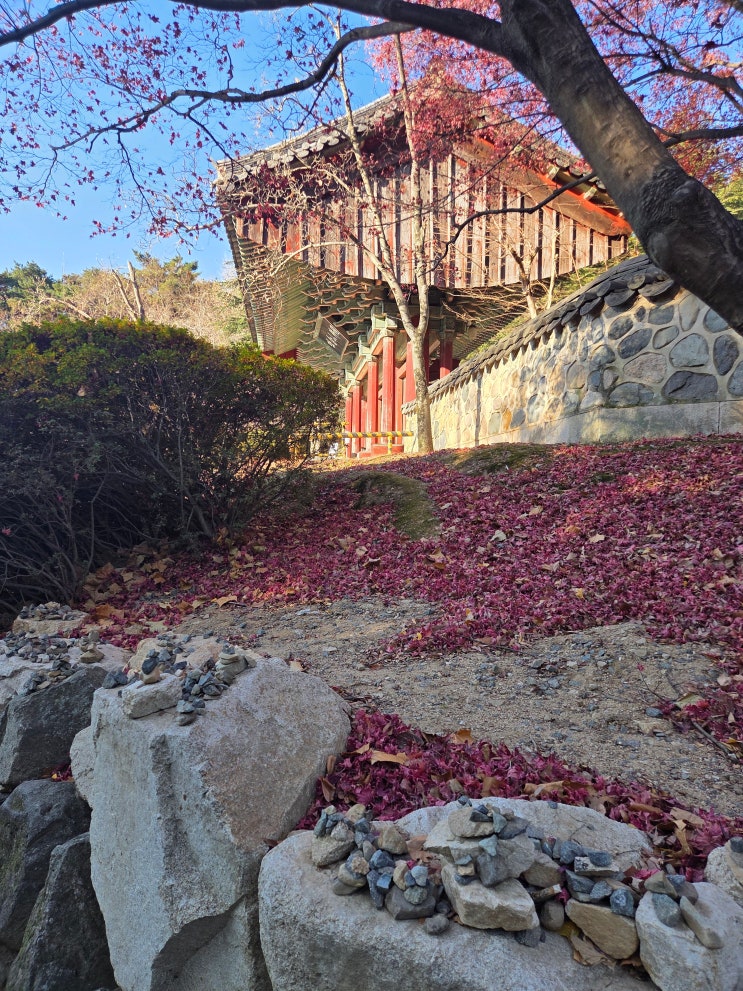  경주 불국사 당일치기