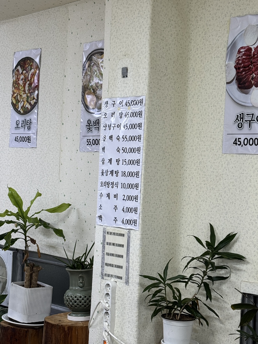 오복촌청둥오리 사진 3