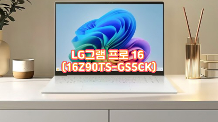  2025 LG그램 프로 16 (16Z90TS-GS5CK) 실사용 후기