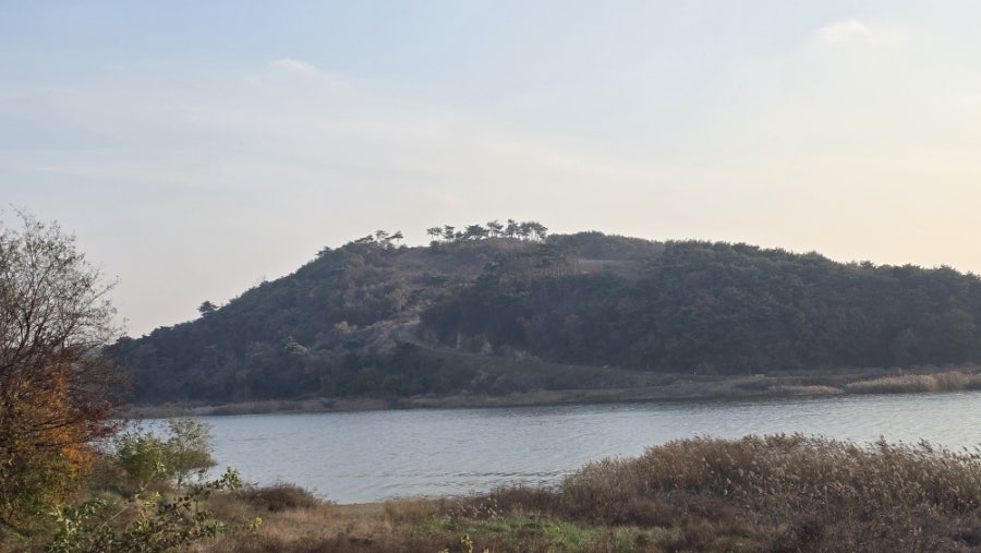 홍성호 사진 6