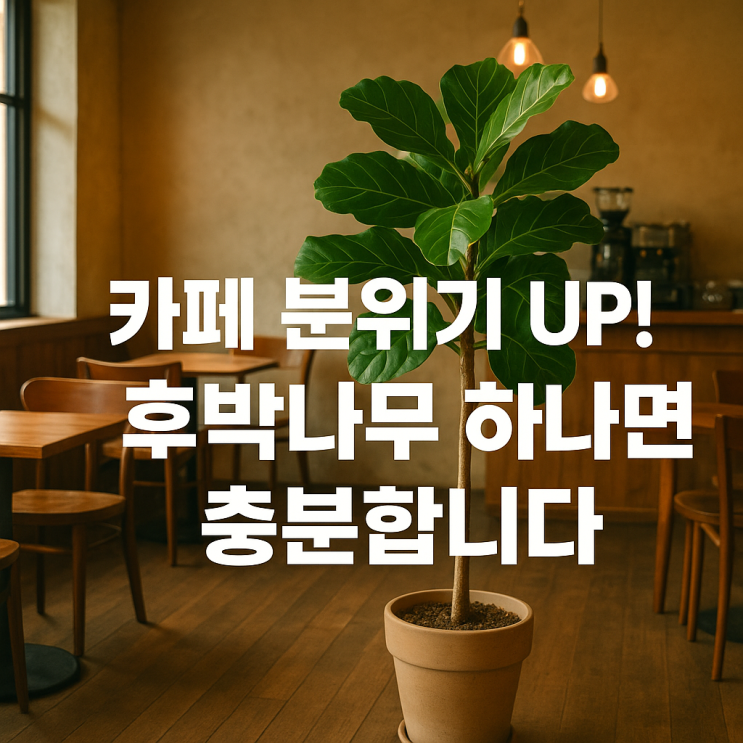  카페·인테리어에서 후박나무가 인기인 이유, 스타일링 포인트 5가지!