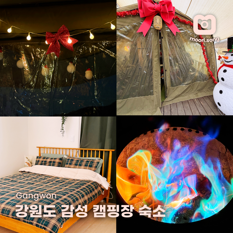 강원도 원주 펜션 감성 독채 반려견 가족 숙소 스테이단