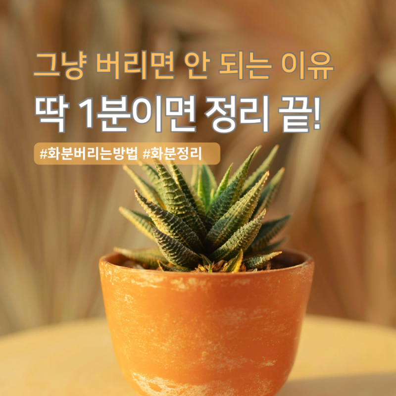 화분 버릴 때 이거만 구분하면 정리 속도가 확 달라지더라구요