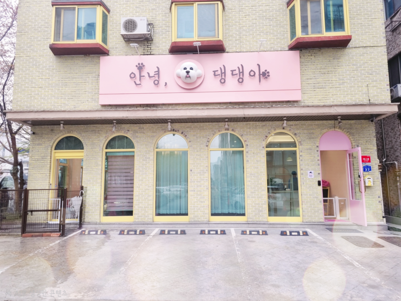 안녕댕댕아