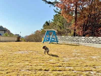 사진 13