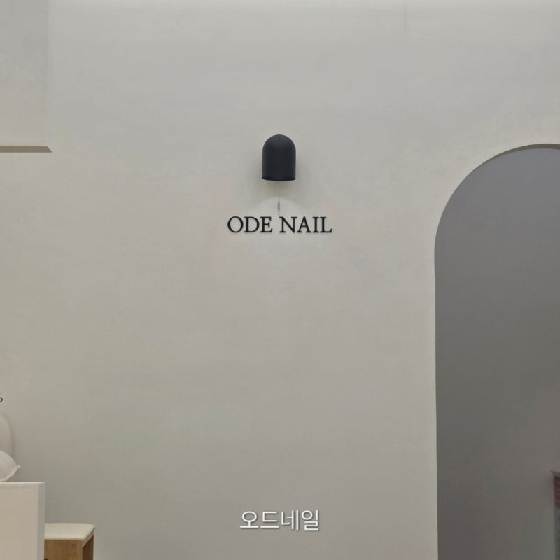 [일산] 웨스턴돔 네일 추천 오드네일에서 이달의아트하고 왔어요.