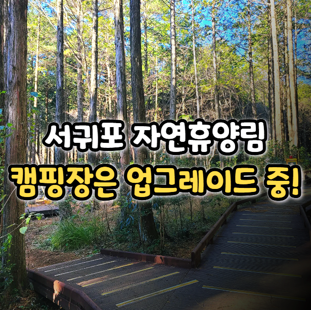  내년이 기대되는 곳, 서귀포 자연휴양림 캠핑장