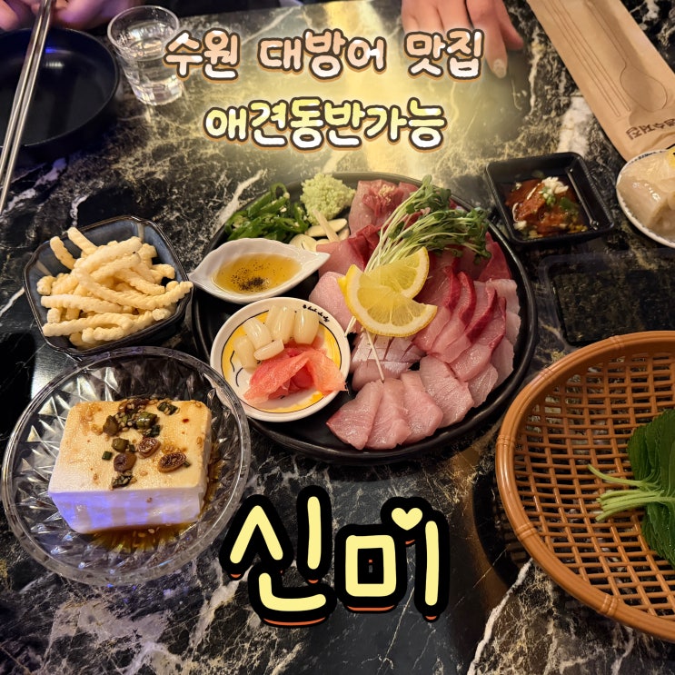  수원 대방어 맛집 신미 애견동반가능 술집