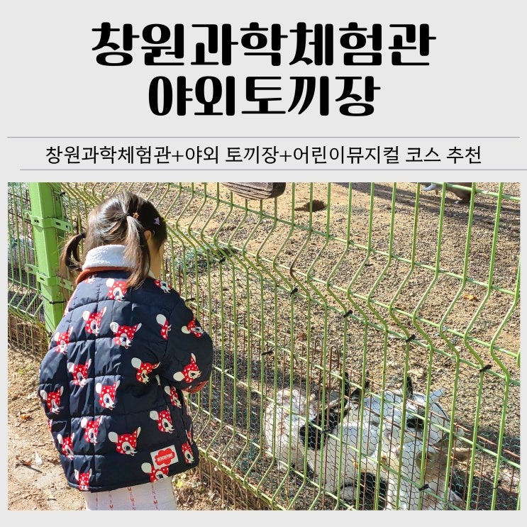  창원과학체험관 토끼장｜무료 먹이주기 체험(주차·가는길·운영시간)