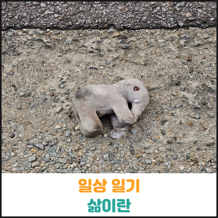  일상 일기. 삶이란