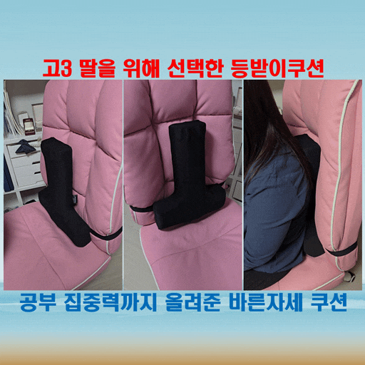  의자 허리쿠션 추천, 고3 딸아이를 위해 선택한 등받이쿠션