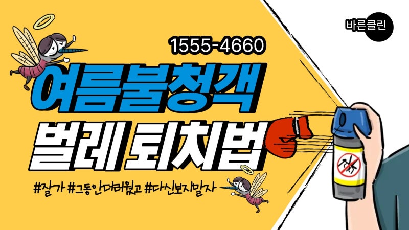 바퀴벌레 한 마리 봤다면? 바퀴벌레 종류별 대처법