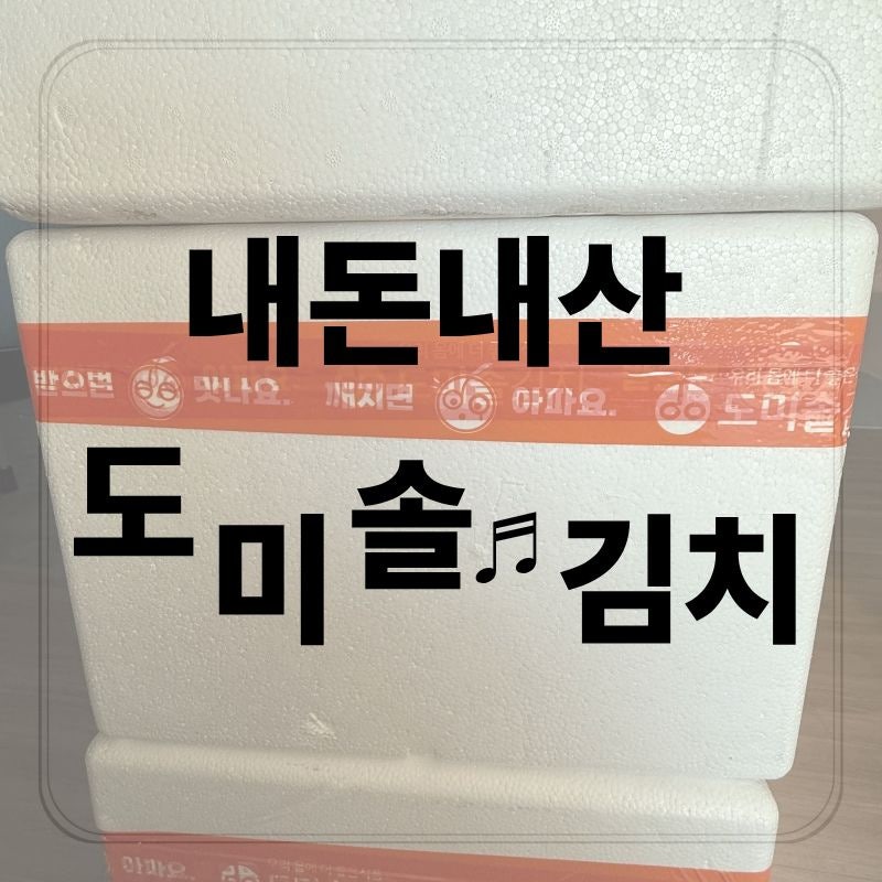 도미솔 절임배추 내 돈 내산 구매후기
