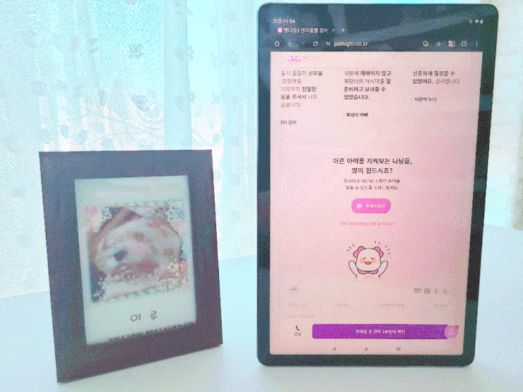 반려동물 장례식장,화장터 찾기, 강아지 화장 준비 비용비교