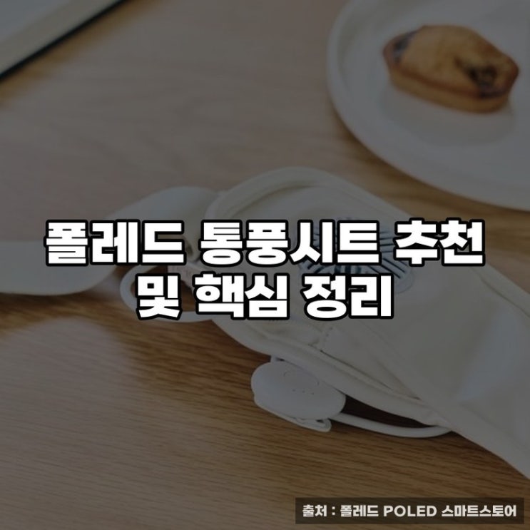  폴레드 통풍시트 추천 및 핵심 정리