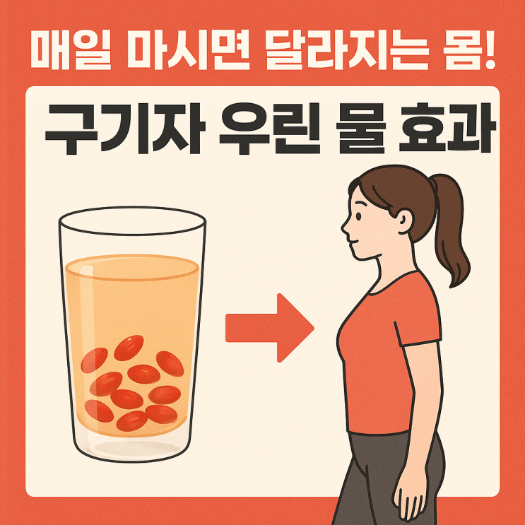  구기자 물·우린 물 매일 마시면? 몸에서 달라지는 변화 종합정리!