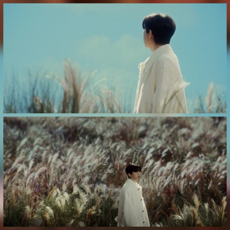 임영웅 알겠어요 미안해요 MV 곡 해석 공개 콘서트 일정 모음