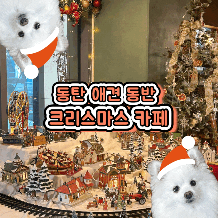  동탄 애견 동반 크리스마스 카페 브런치가 맛있는 카페오즈