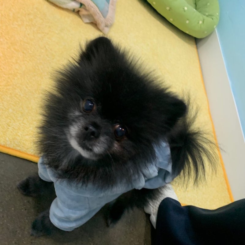 사진 5