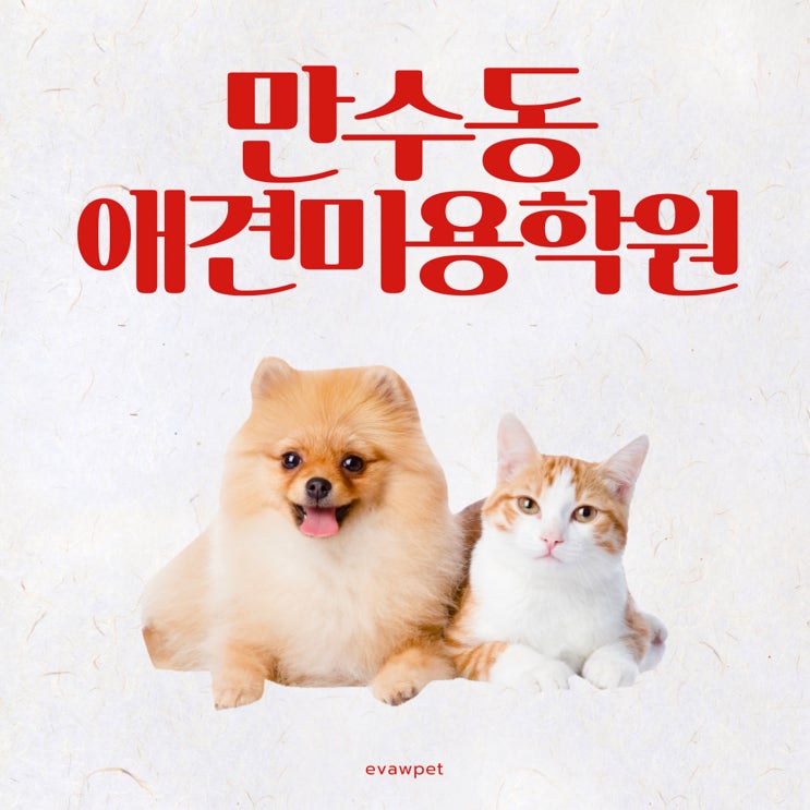  만수동애견미용학원 월 수강료 20만원 진짜일까?