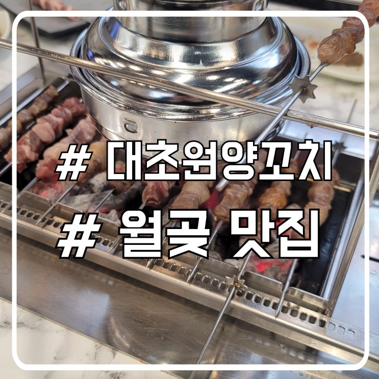  월곶 양꼬치 맛집 대초원양꼬치｜불향 가득한 양꼬치 솔직 후기