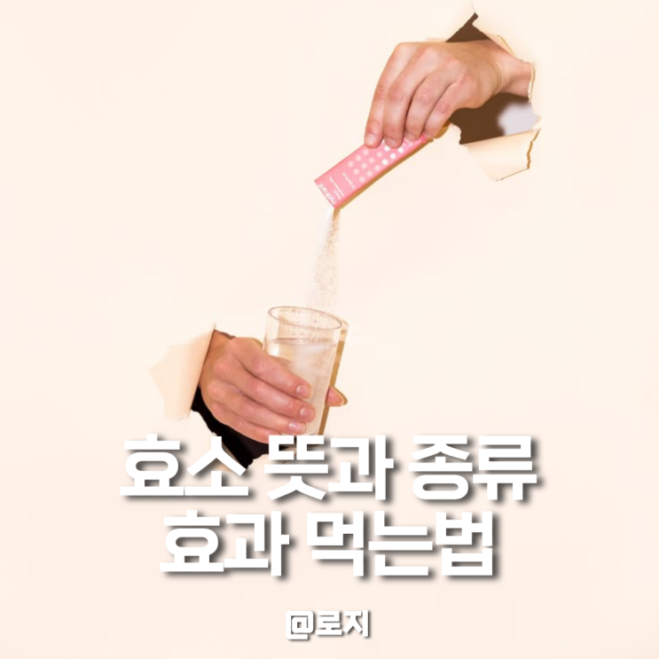  효소 다이어트 뜻과 특징 종류 효과 먹는법 알아보기