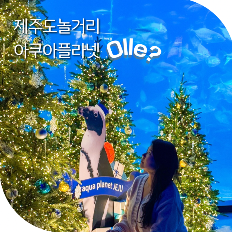 제주 서귀포 가볼만한곳 제주도 저녁 놀거리