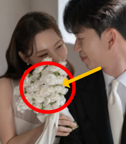   '나는 솔로' 28기 영자영철, 1월 초고속 결혼 결정!