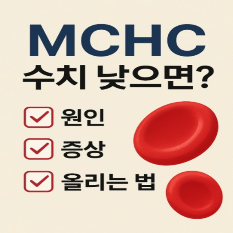 MCHC 수치 낮으면? 원인·증상·올리는 법까지 한 번에 정리