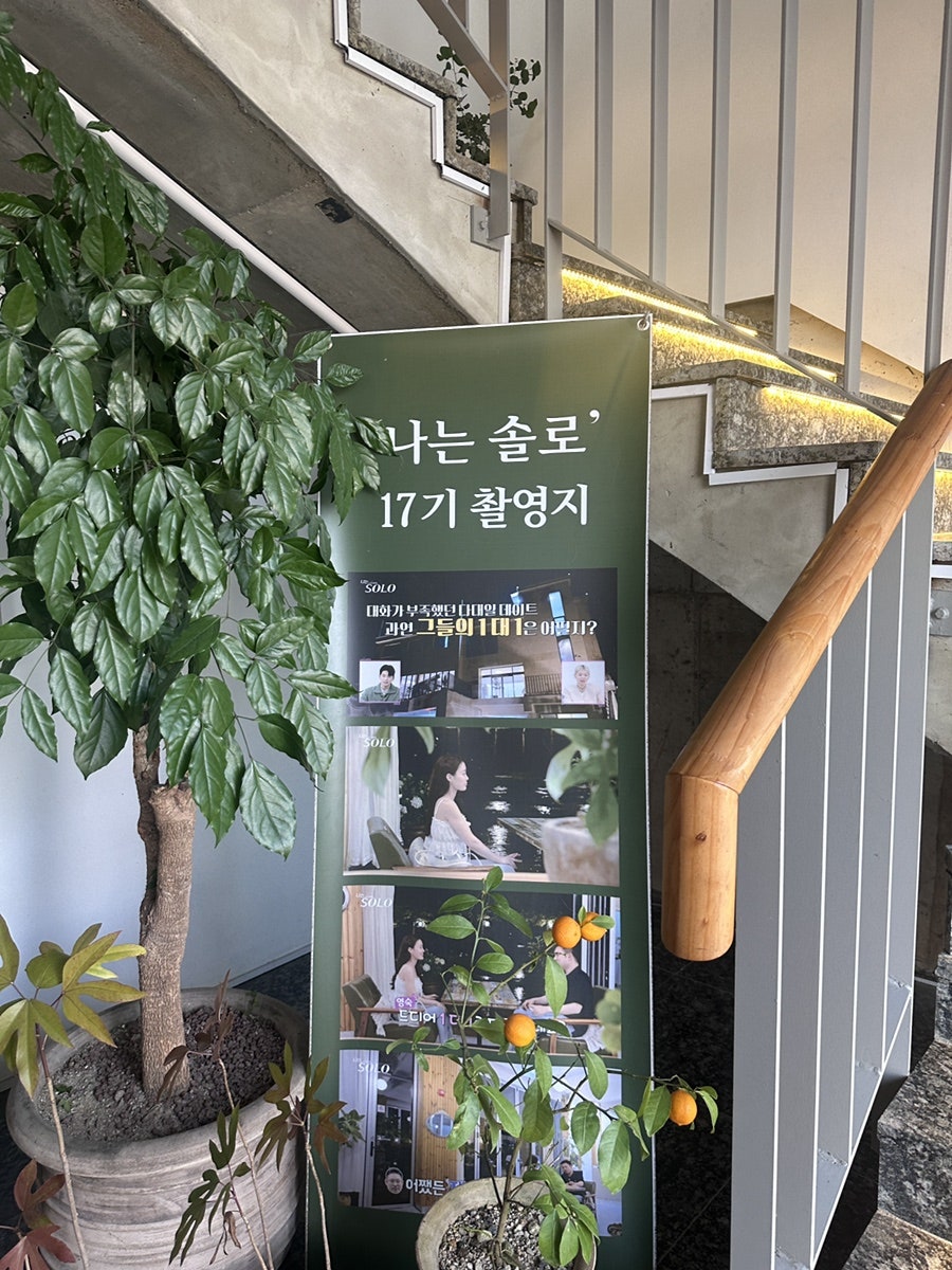 카페리시안 사진 4