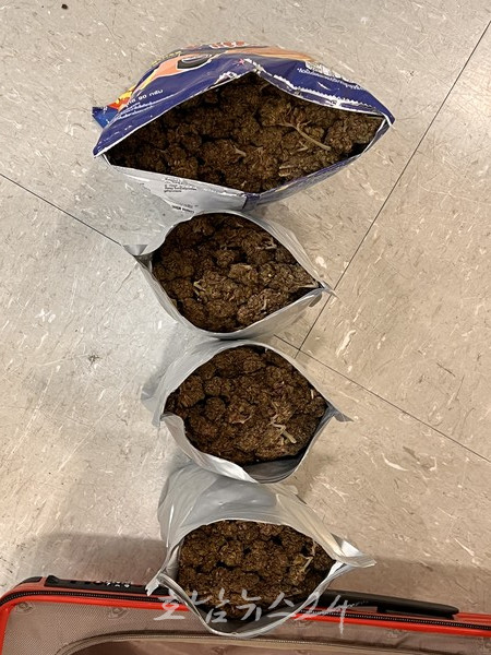  전남경찰, 태국 파타야에서 마약류(대마)를 여행용 가방에 담아 밀반입한 마약사범(3명) 검거