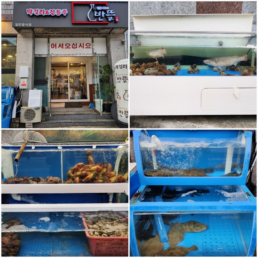 반뜰 사진 3
