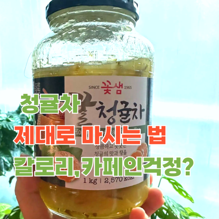  겨울 면역 챙기는 제주 청귤차 맛있는 레시피 정리