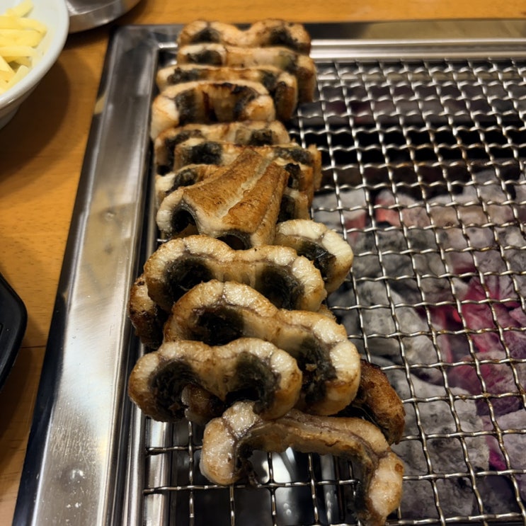  신봉동 맛집 / 프라이빗하게 개별룸에서 즐기는 자포니카장어맛집 [ 고창풍천장어 ]