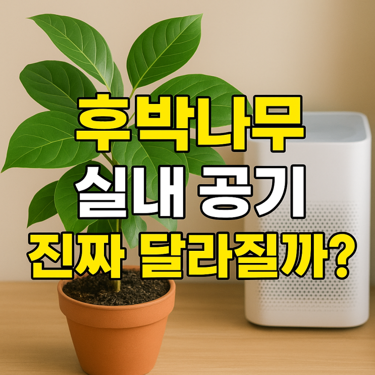  후박나무의 공기정화 능력, 실내에 두면 정말 효과 있을까?