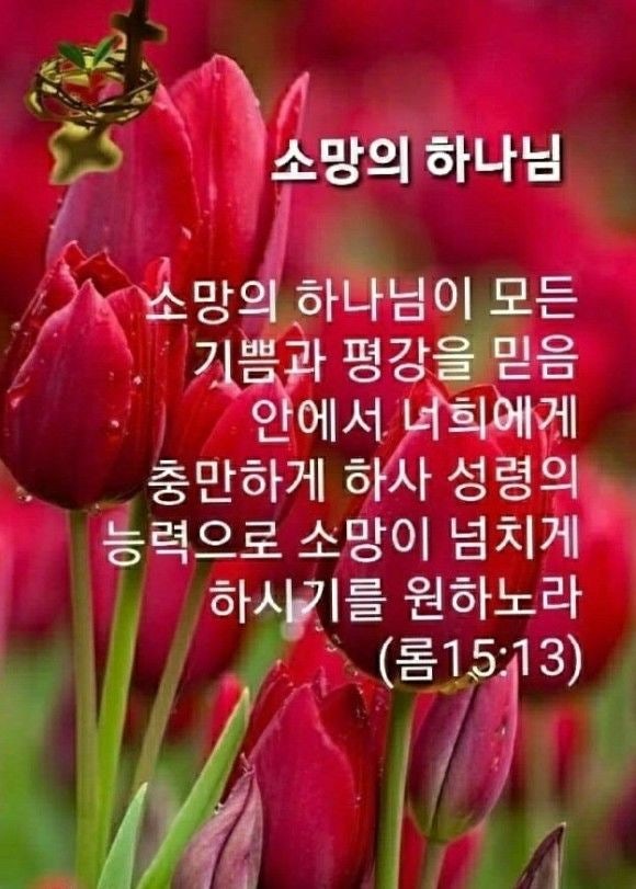칠구빵빵통닭 진곡점 사진 5
