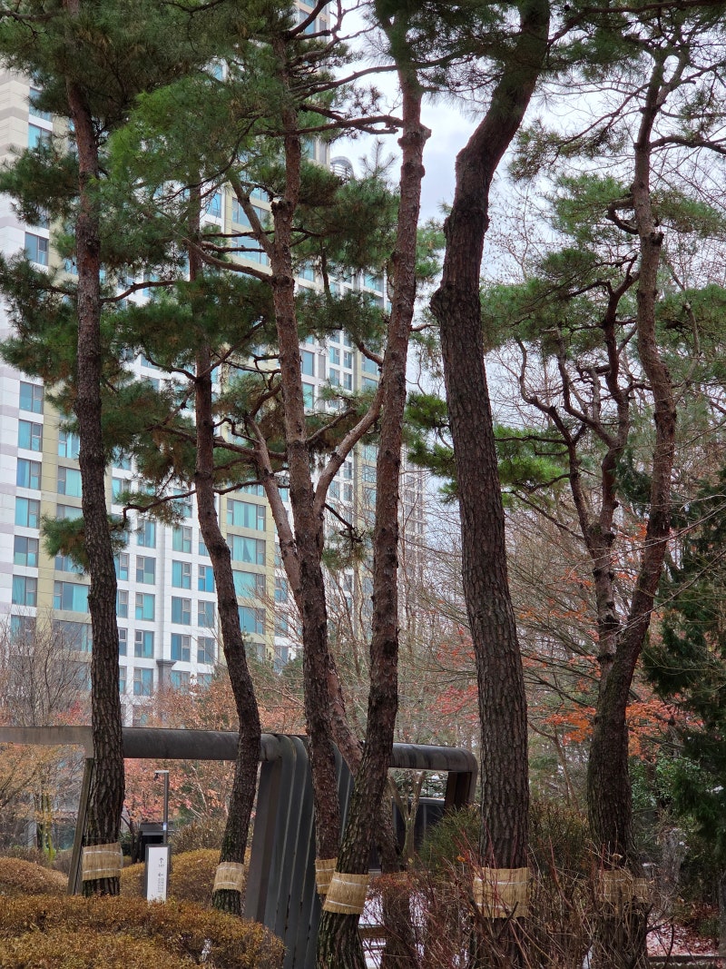 정책지식 2025.12.8. : 네이버 블로그