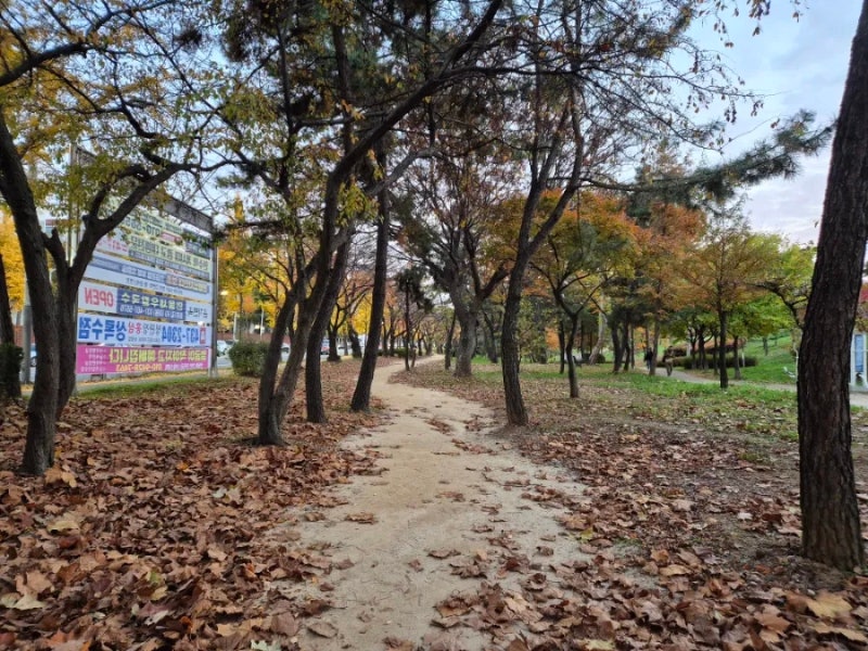 (배금성) 발라드풍 트롯, 연정!