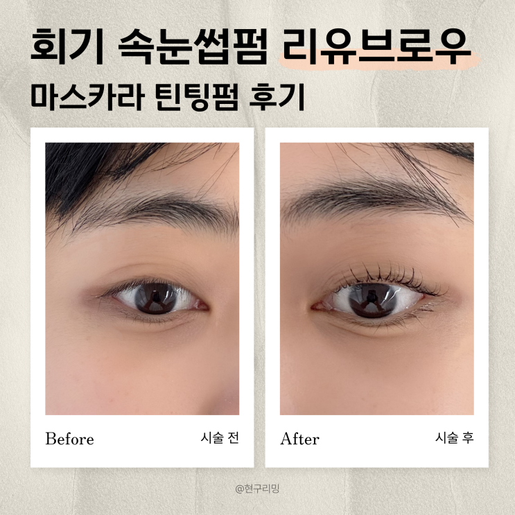  회기속눈썹펌 리유브로우 두배 더 진한 마스카라틴팅펌 후기