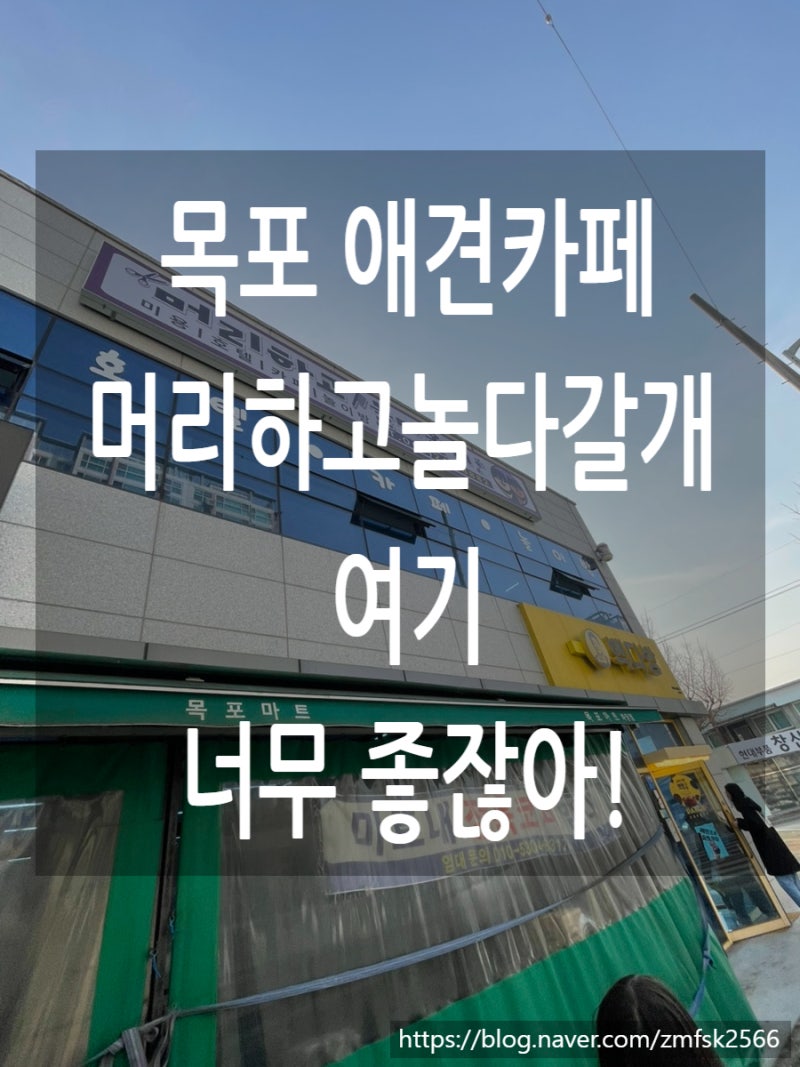 사진 6