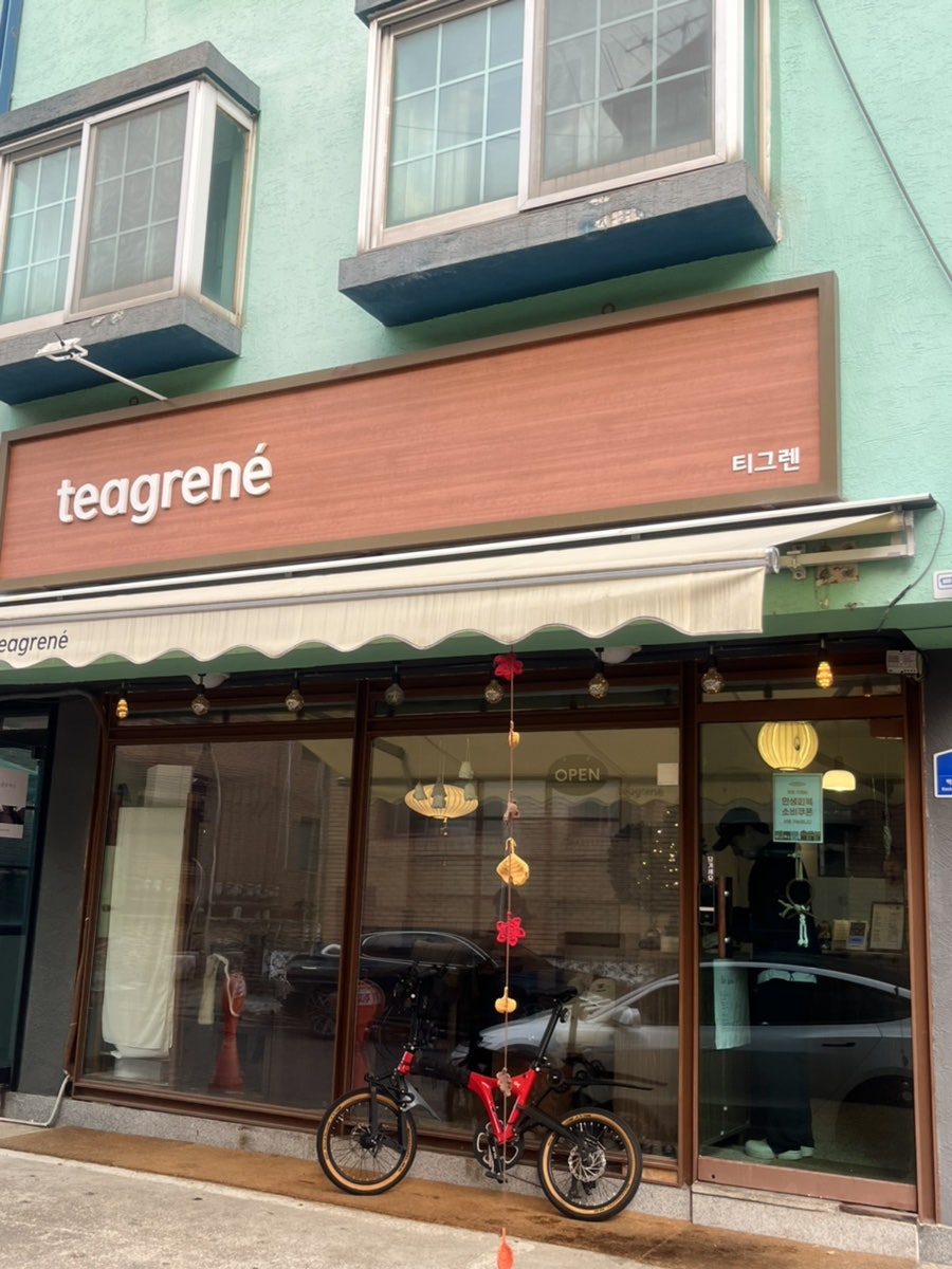 티그렌 사진 2